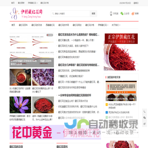 藏红花_藏红花的功效_藏红花价格多少钱一克_西红花怎么吃 - 伊朗藏红花网